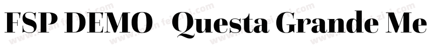 FSP DEMO   Questa Grande Medium Reg字体转换